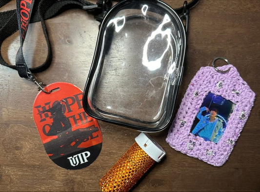 Mini Clear Concert Bag